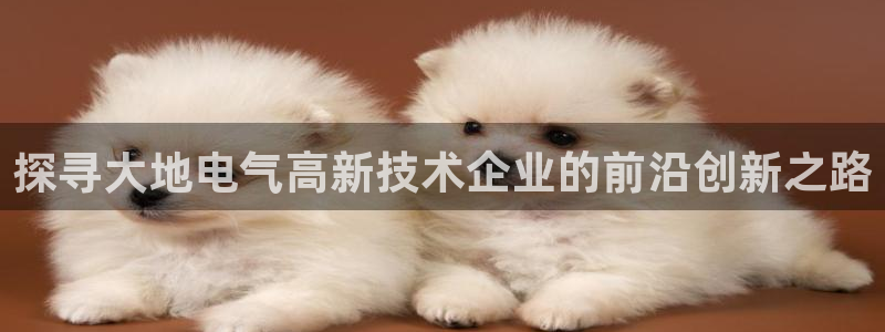凯发k8国际真人版安全送38元