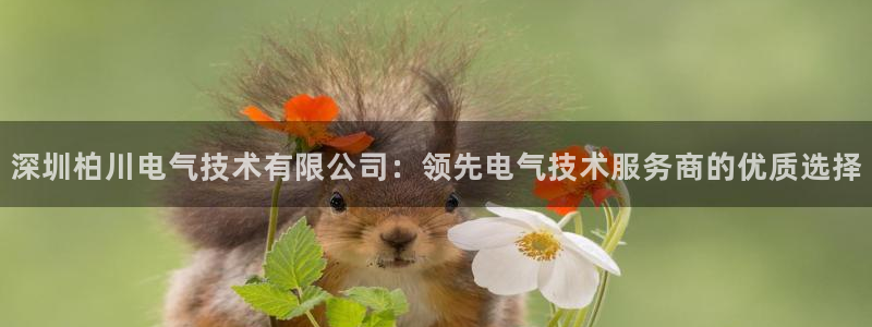 凯发k8手机网页