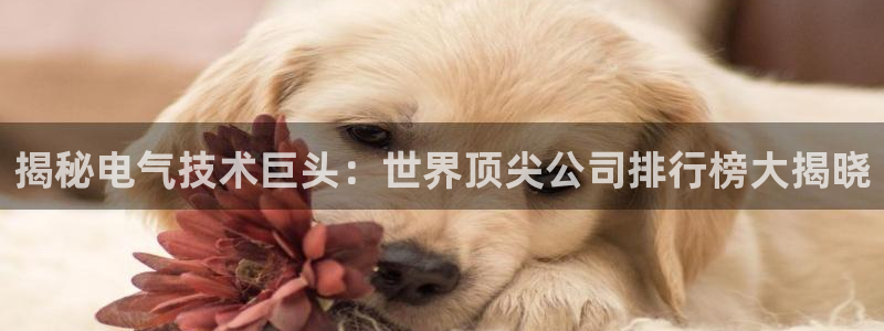 凯发平台8