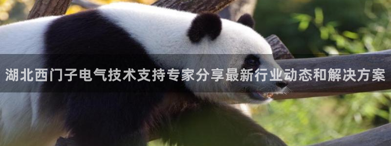 凯发娱乐k8国际