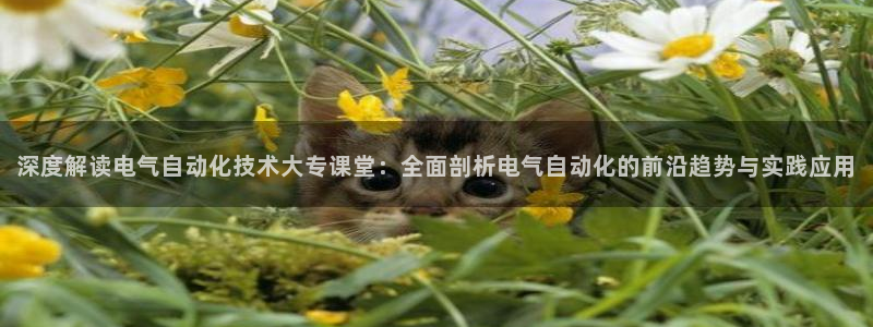 凯发k8娱乐官网网址中心