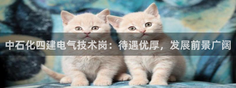 凯发官网地址