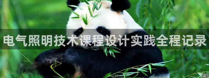 凯发娱乐官网登录