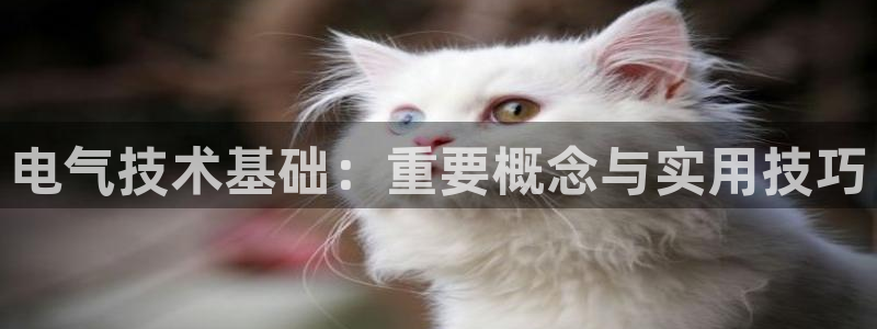 凯发是什么意思