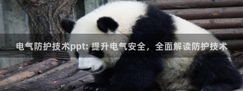 凯发k8娱乐官网网址中心