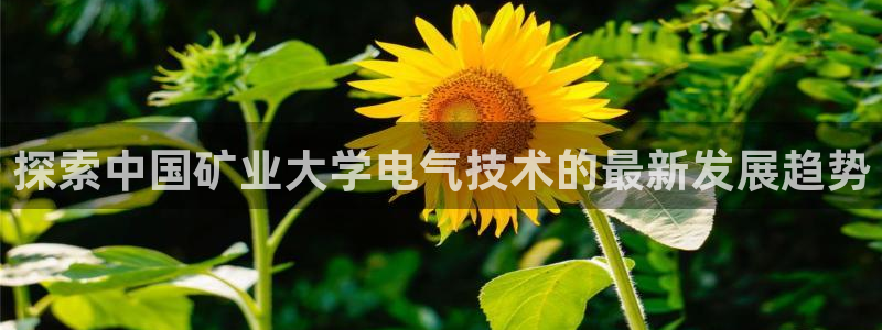 凯发国际网络平台网址：探索中国矿业大学电气技术的最