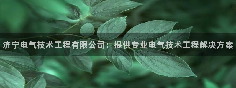 凯发网娱乐官网国际：济宁电气技术工程有限公司：提供