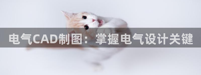 凯发是正规平台吗