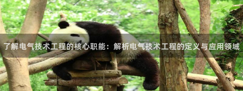 凯发k8555|手机版