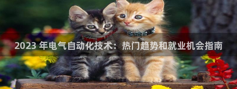 凯发k8官网so选来就送38：2023 年电气自动